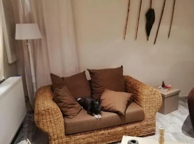 Hébergement de vacances La Petite Douane Massembre