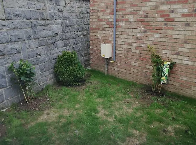 Hébergement de vacances La Petite Douane Massembre